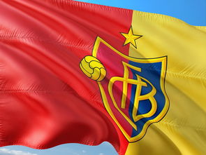 九游娱乐app官网-国际乒联确认中国承办多项顶级赛事，中国国际乒乓球  第3张